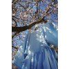 Almond Blossom dress
